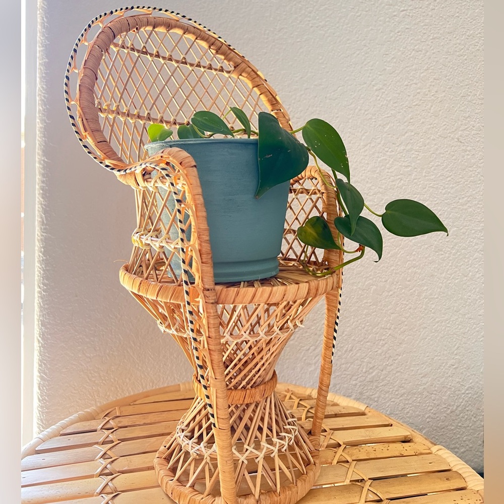 Vintage Mini Rattan Peacock Chair